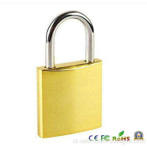 4GB Metal Lock USB Flash Drive